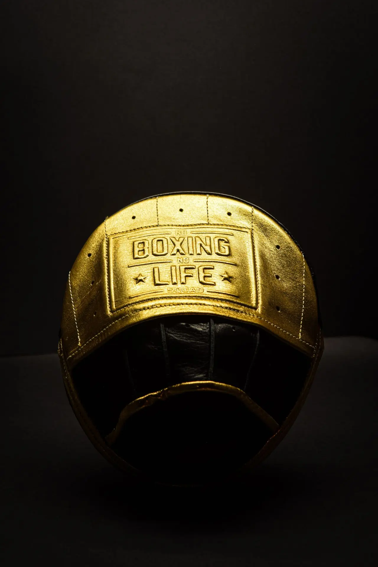 Home | No Boxing No Life